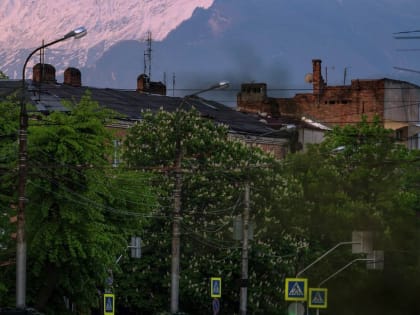 Жители Владикавказа возмутились обрезкой деревьев на улице Ростовской. В АМС отметили, что процедура плановая, а деревья – аварийные