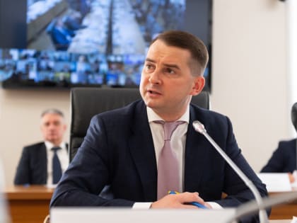 ЛДПР добилась наказания авиакомпании за издевательство над пассажирами