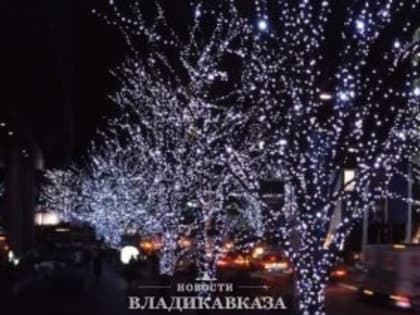 Полицейские Северной Осетии обеспечили охрану общественного порядка в Новогоднюю ночь