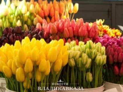 Меняйло поздравил жителей Северной Осетии с Днем семьи, любви и верности