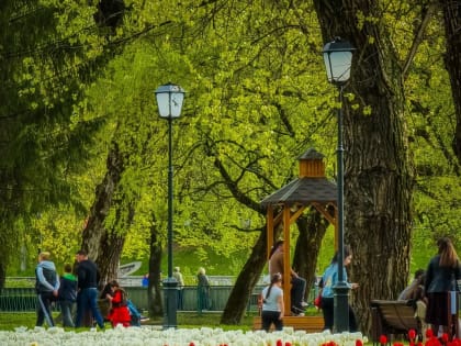 Почти миллион цветов украсят Владикавказ этой весной