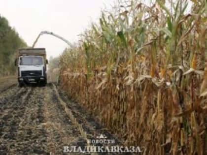 Более 1,3 млрд рублей федеральной поддержки получит в этом году Северная Осетия на развитие сельских территорий