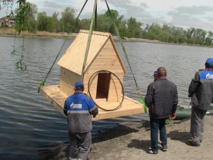 В Моздоке на озере в парке Победы установили домик для лебедей