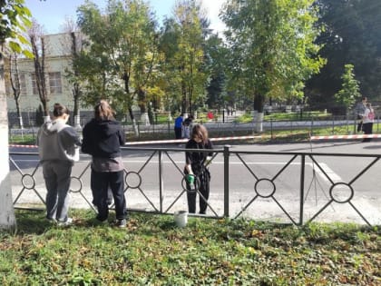 Студенты помогают в благоустройстве улицы Московской