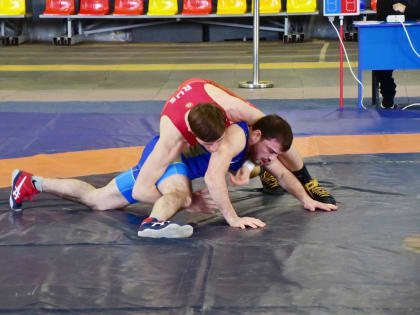 Во Владикавказе определились победители первенства Северной Осетии по вольной борьбе