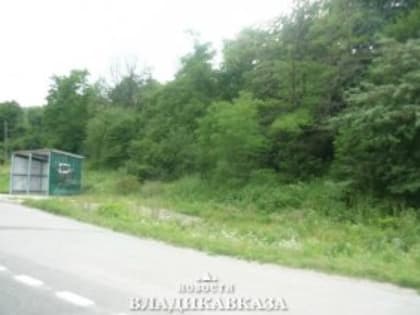 Маленькая спасенная жизнь: Две лисички, но без спичек