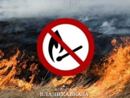 С начала 2023 года на территории Северной Осетии было зарегистрировано 522 пожара