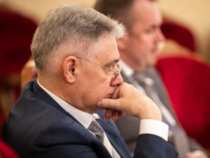 В ЛДПР обсудили дополнительные меры поддержки ИТ- компаний