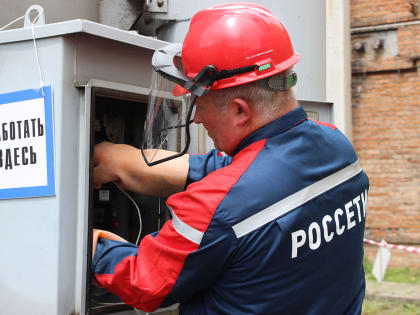 Владелец зоомагазина в Северной Осетии похитил электроэнергию на 130 тысяч рублей