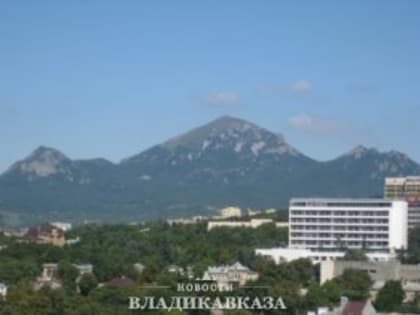 Сергей Меняйло принял участие в заседании Совета по межнациональным отношениям под руководством Владимира Путина