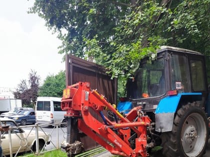 Во Владикавказе ведут работы по выкорчевыванию пней, оставшихся после сноса аварийных деревьев.