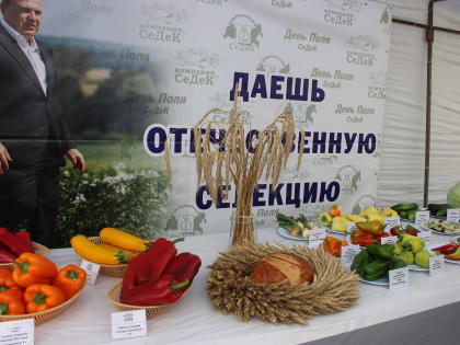 Выставка-семинар «День Поля-2024» во Владикавказе