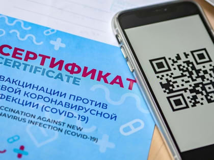 ЛДПР настаивает на непродлении срока действия «закона о QR-кодах»