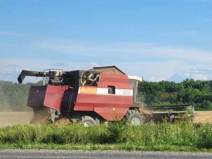 В РАЙОНЕ НАЧАЛАСЬ ЖАТВА
