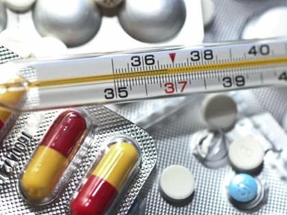 Образовательные учреждения Северной Осетии продолжают работать