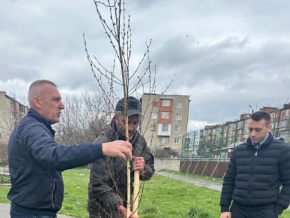 Депутат «Единой России» помог благоустроить зону отдыха горожан