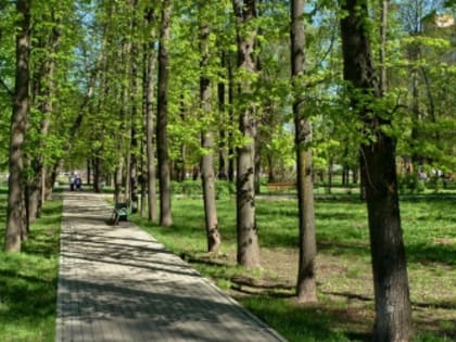 Некоторые уголовные дела – это не только нарушение закона, но и урок на будущее: чего можно избежать и как себя обезопасить