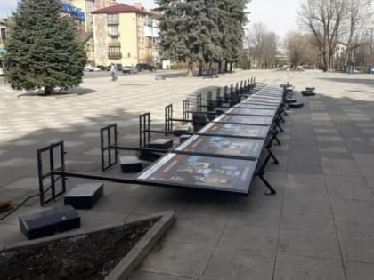 Во Владикавказе сильный ветер повалил деревья и стенды — коммунальщики устраняют последствия