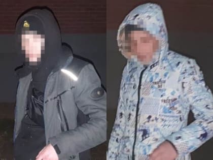 Двое жителей Владимирской области задержаны с крупной партией мефедрона во Владикавказе