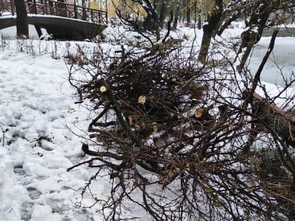 Уборка последствий урагана в городе