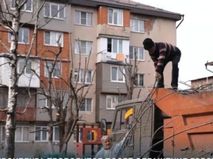 Процесс обрезки деревьев в городе