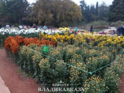 Безопасность на дорогах: акция в Лобне