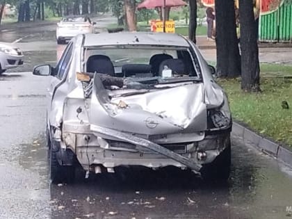 Спасатели помогли мужчине, который получил травму из-за падения на его машину дерева