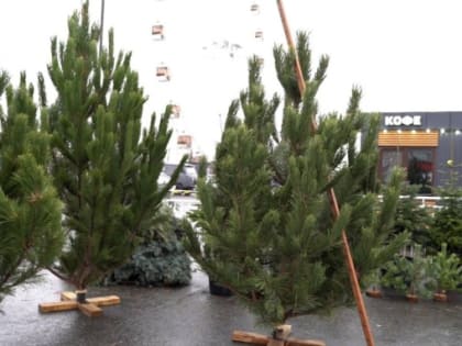 На новогодних ярмарках НЕДОПУСТИМА продажа фейерверков, петард и другой пиротехники.