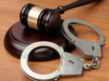 В Алагирском районе местный житель признан виновным в убийстве родной племянницы