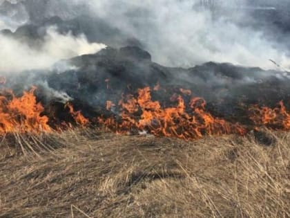 В Северной Осетии ввели особый противопожарный режим с запретом на разведение костров
