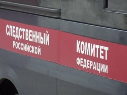 Бастрыкин взял на контроль проверку по факту смерти бойца ММА Гаглоева