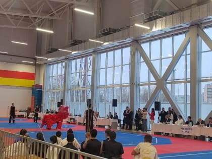 Во Владикавказе стартовали межрегиональные соревнования по тхэквондо «Снежный барс» и фестиваль цветных поясов «Снежный барс kids».