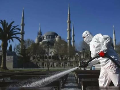 Вспышка ящура зафиксирована в Турции