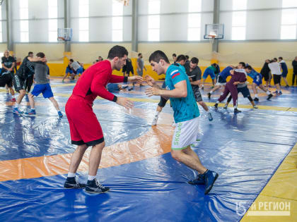 Лучшие борцы мира выступят на PWL-5 во Владикавказе. 5 причин посетить соревнования