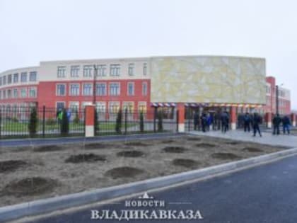 В населенных пунктах Моздокского района прошли сходы-отчеты участковых уполномоченных полиции