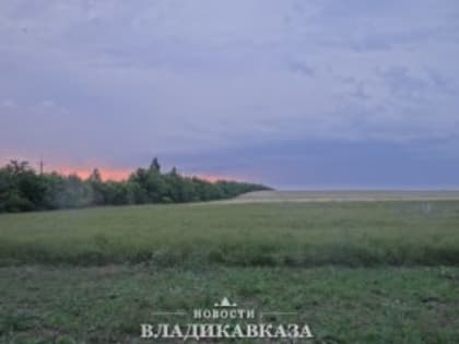 В РСО-А Управление Россельхознадзора отменило действие более 30 деклараций о соответствии зерна