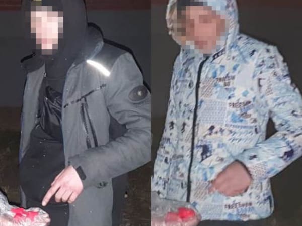 Двое жителей Владимирской области задержаны с крупной партией мефедрона во Владикавказе