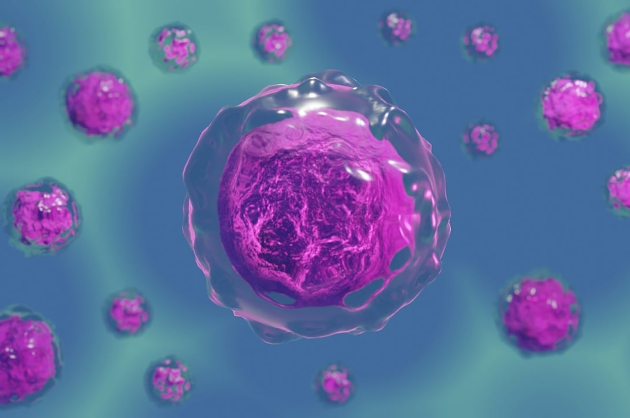 Immunotherapy