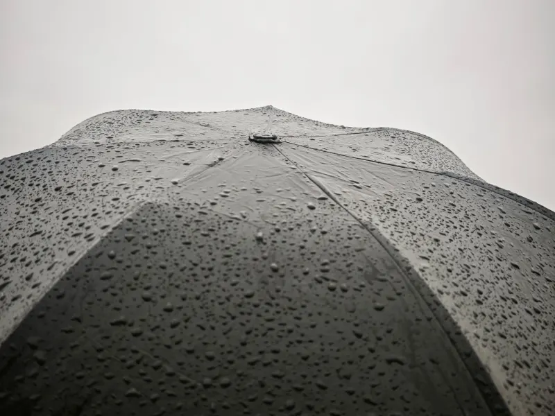 【2026雨傘推薦】雨傘怎麼選?梅雨季通勤擋風避雨必看的高CP值選購指南
