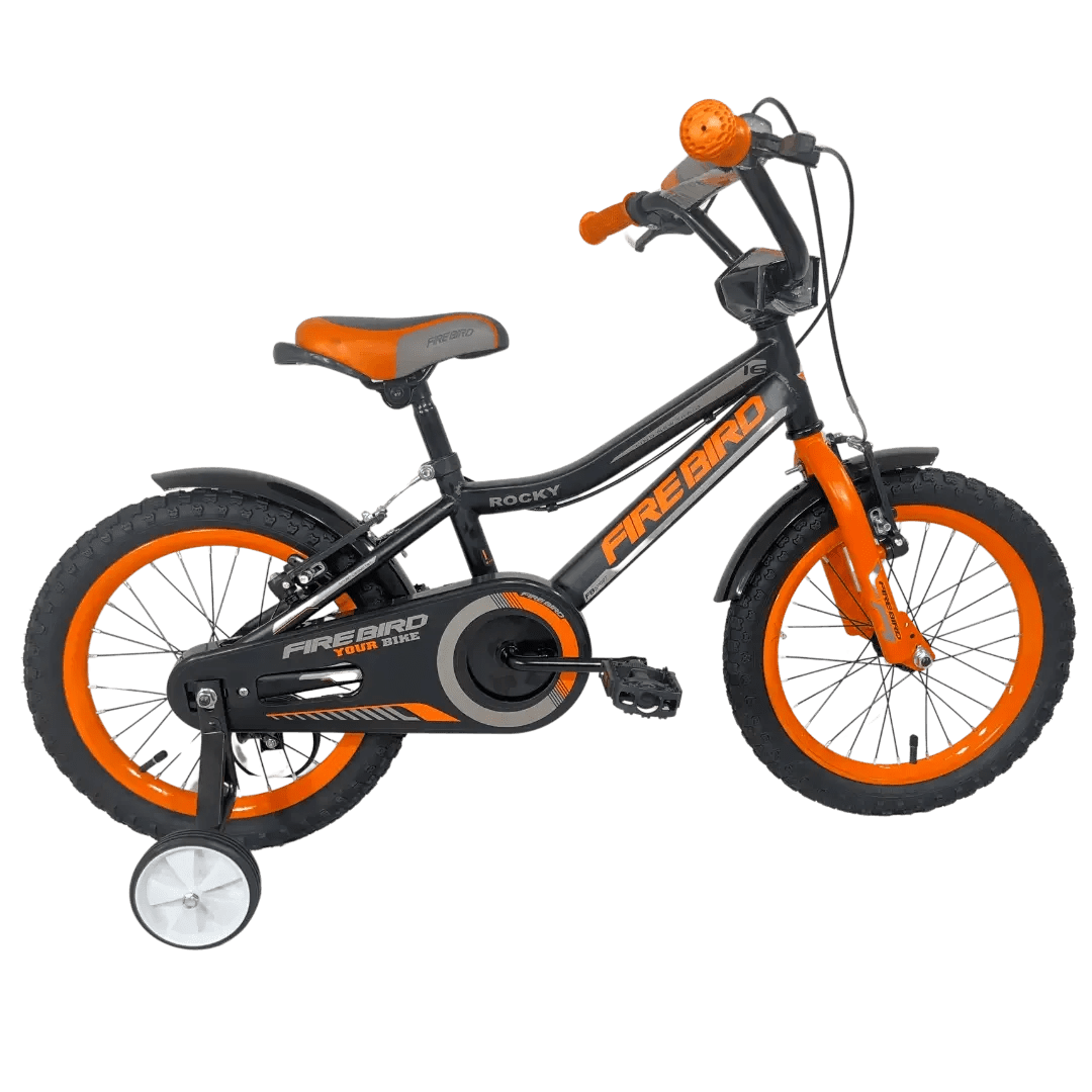 BINFB16V