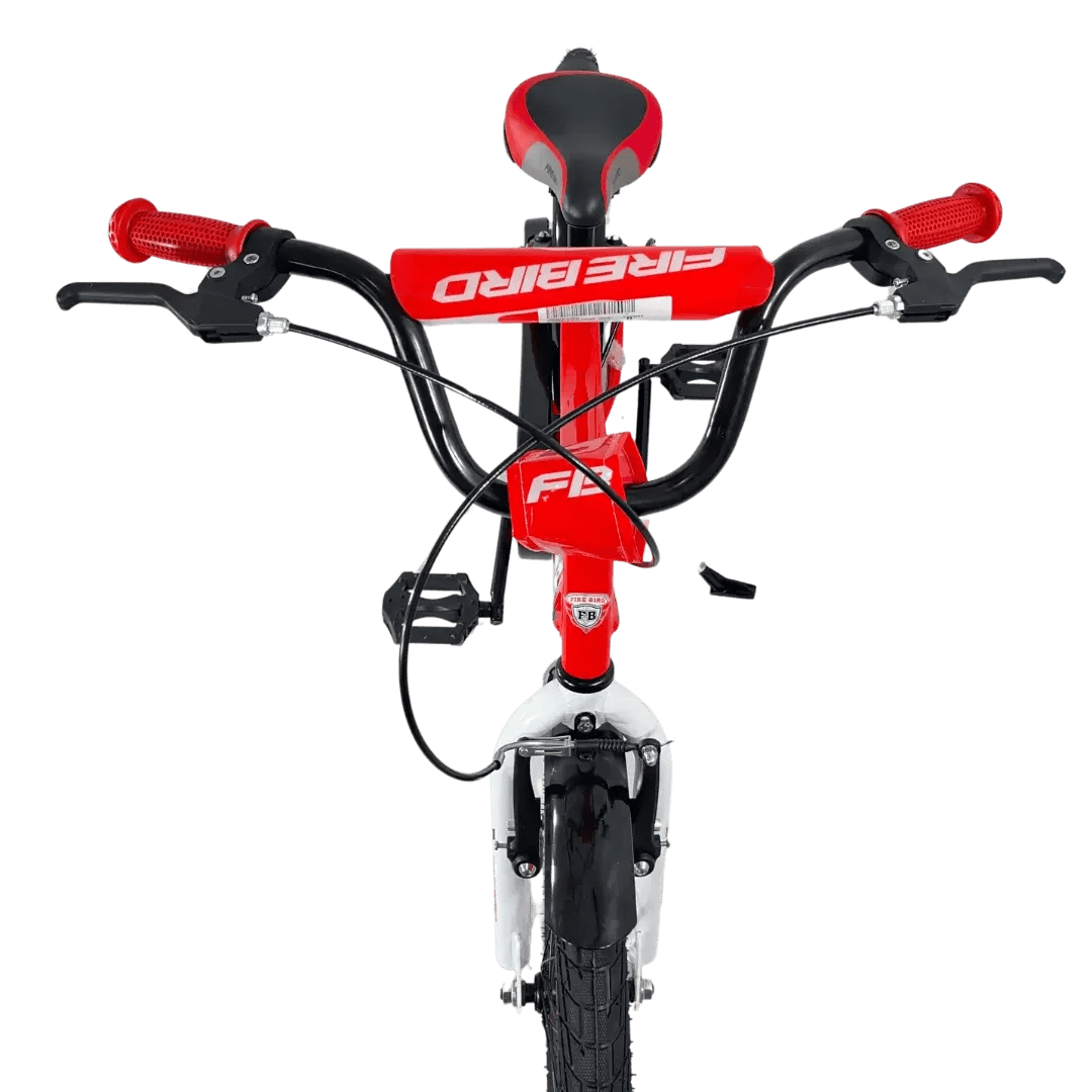 BINFB20V bicycle miniatura 5