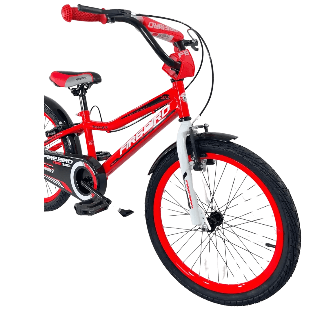 BINFB20V bicycle miniatura 4
