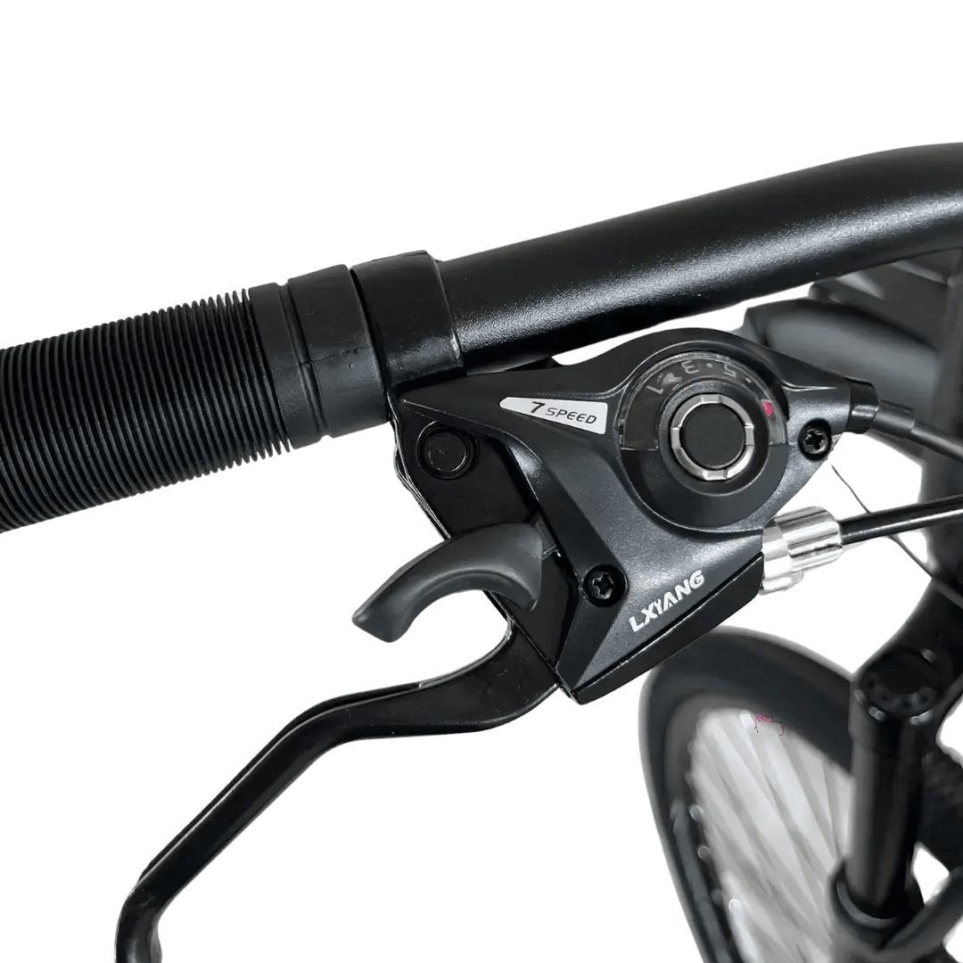 BIN29D-21ACEC bicycle miniatura 5