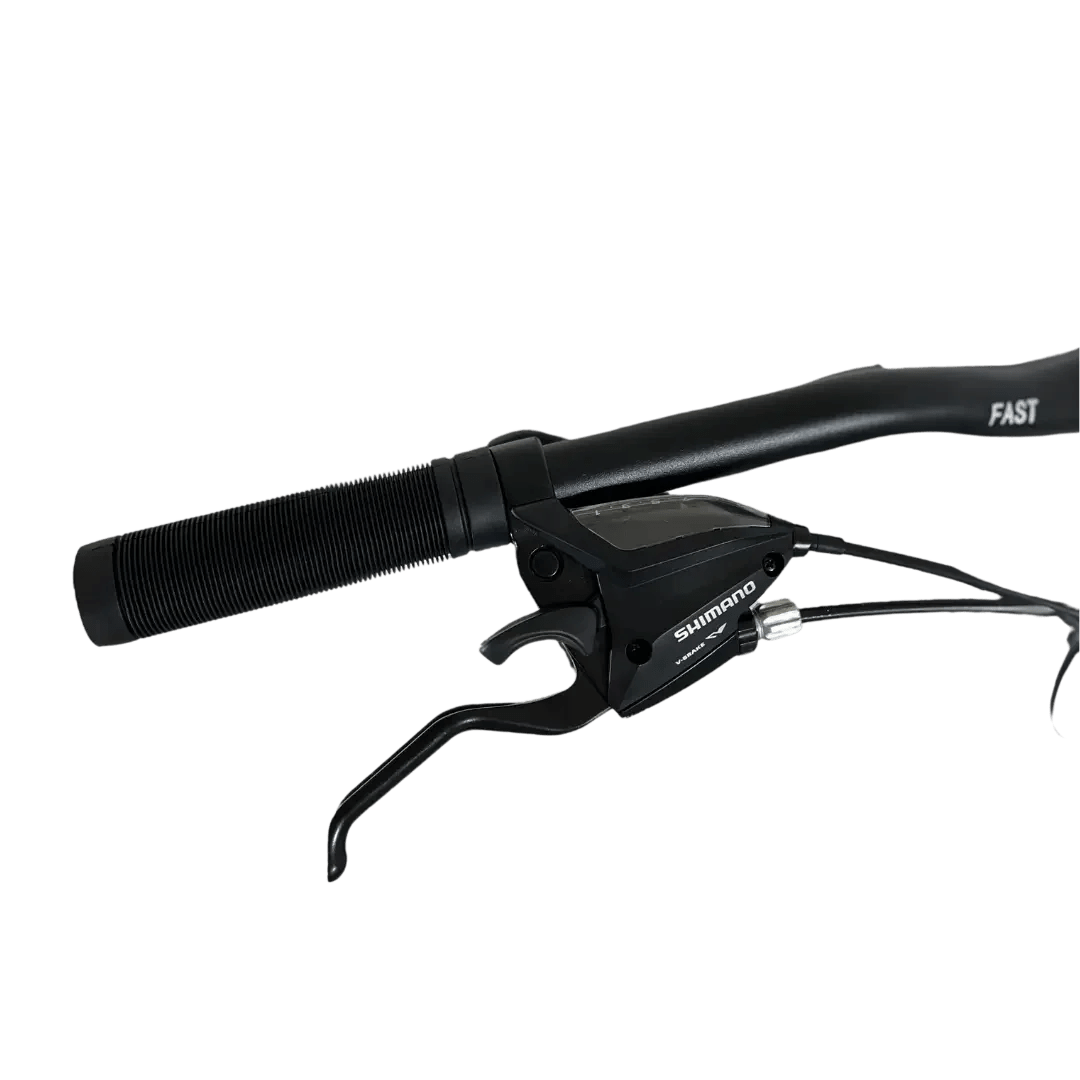 BIN29-21ECO bicycle miniatura 2