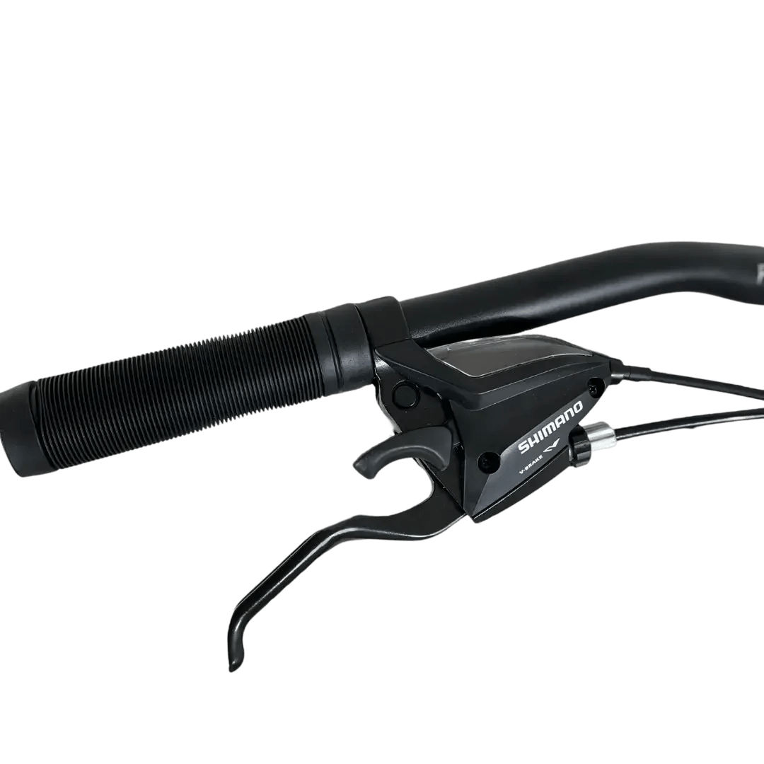 BIN29D-21ECO bicycle miniatura 3