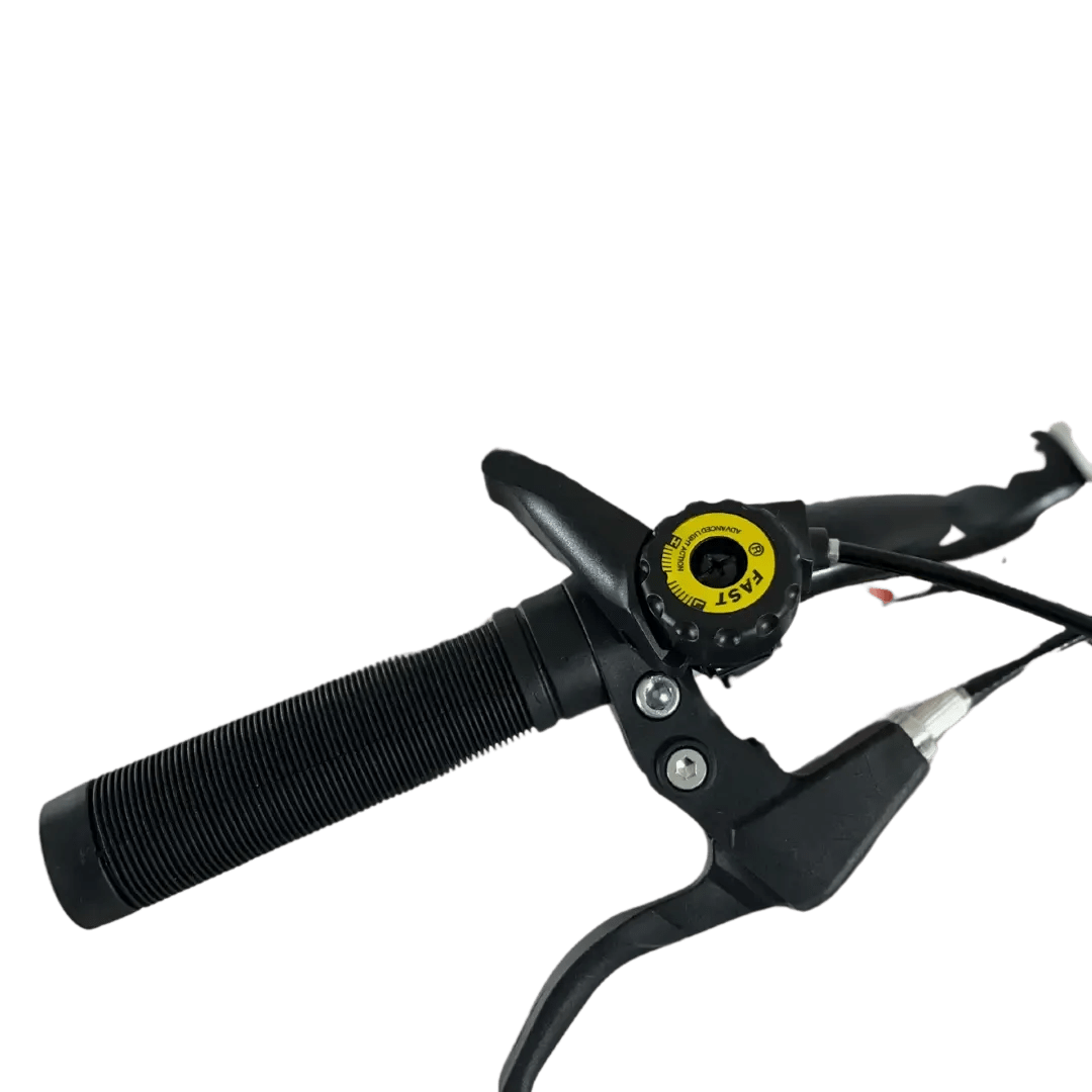BIN16335 bicycle miniatura 3