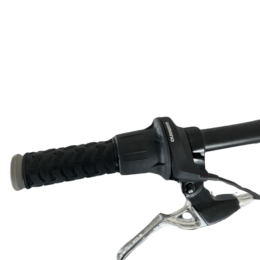 BINPLESCUR bicycle miniatura 3