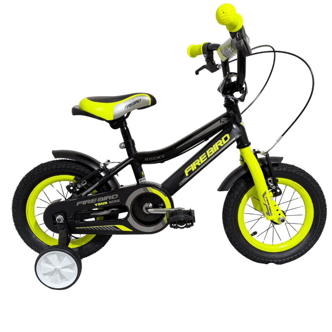 BINFB12V