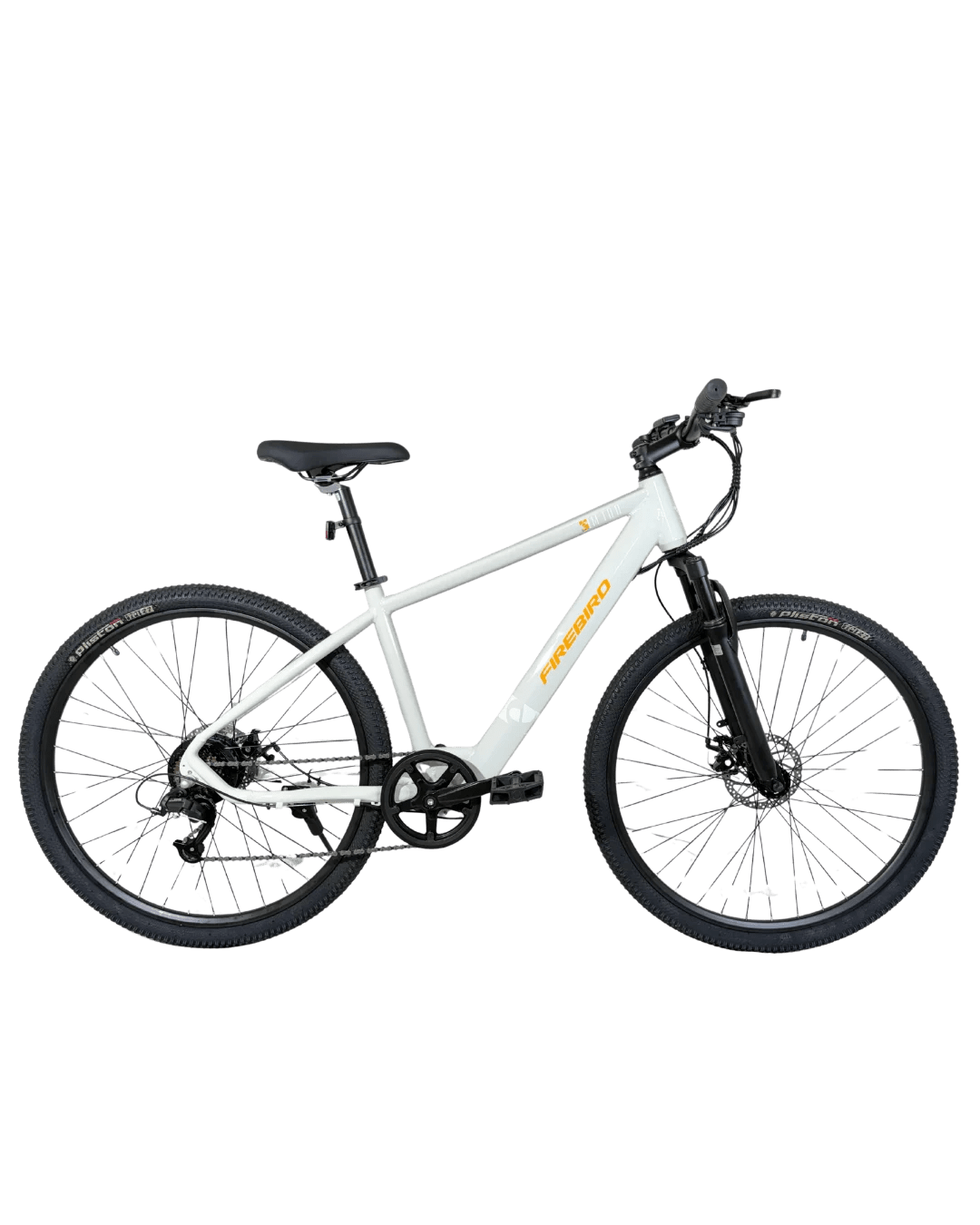 BINFB29E bicycle miniatura 2