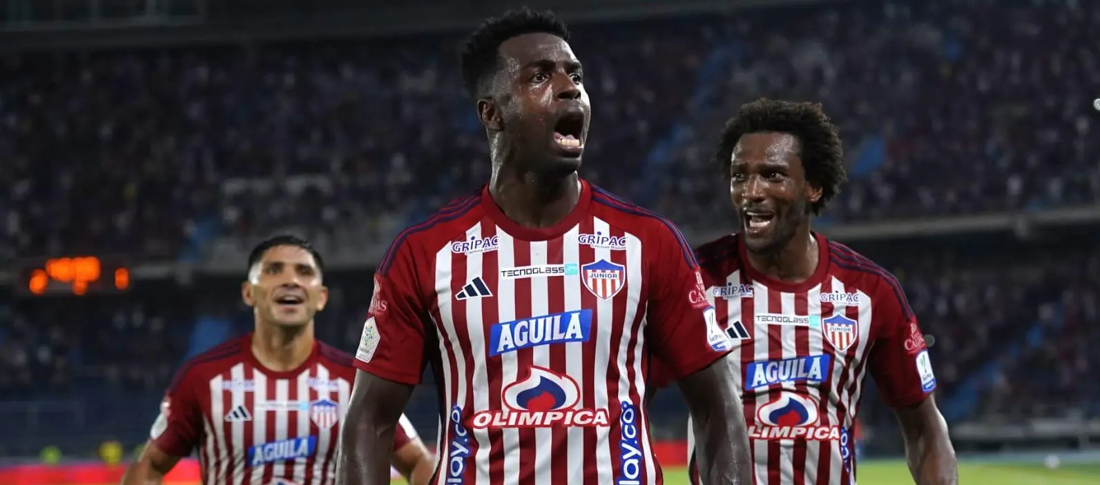 image - 2024-12-11T094845.323.webp